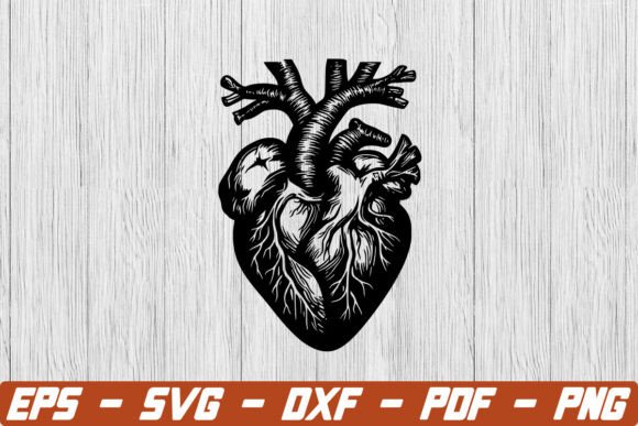 Anatomical Heart Svg, Heart Clip Art for Crafts & Graphics